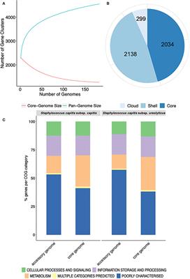 Comparative genomics of Staphylococcus capitis reveals species determinants